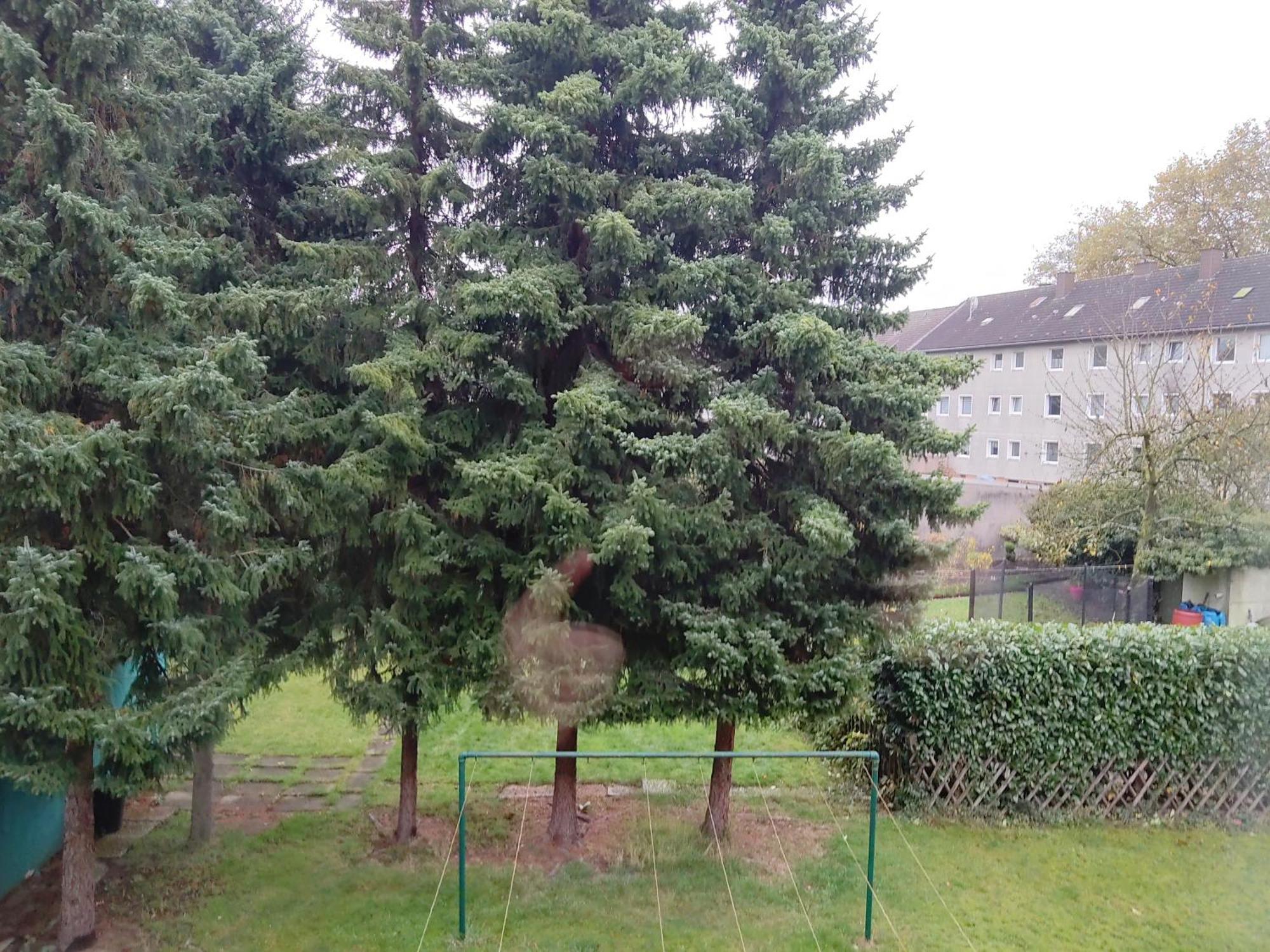 Komfortables Und Ruhiges Apartment Gelsenkirchen Exterior foto